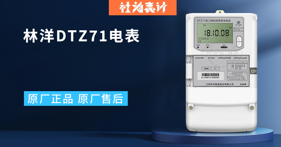 林洋DTZ71電表