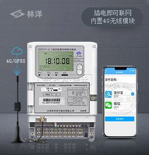 江蘇林洋DTZY71-G | 0.5S級(jí) 三相四線4G無(wú)線遠(yuǎn)程智能電表